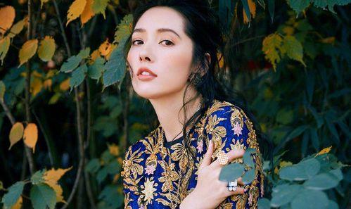 娱乐八卦爆料郭碧婷,揭秘她的私生活与感情动态